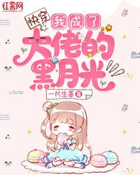 快穿:我成了大佬的黑月光