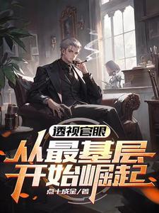 透视官眼:从最基层开始崛起