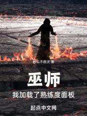 巫师:我加载了熟练度面板