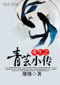 重生之青芸小传