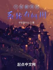 只会翻译的系统有何用