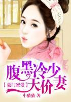 豪门密爱:腹黑冷少天价妻