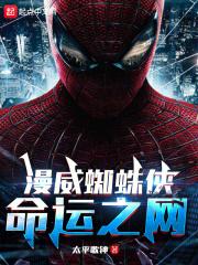 漫威蜘蛛侠:命运之网