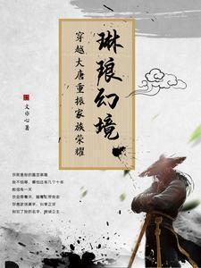 琳琅幻境:穿越大唐重振家族荣耀