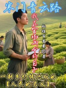 寒门青云路:我在官场撕伞的日子