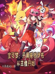 宝可梦:开局搭档伊布从丰缘开始