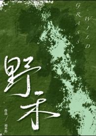 野禾(伪、bdsm)