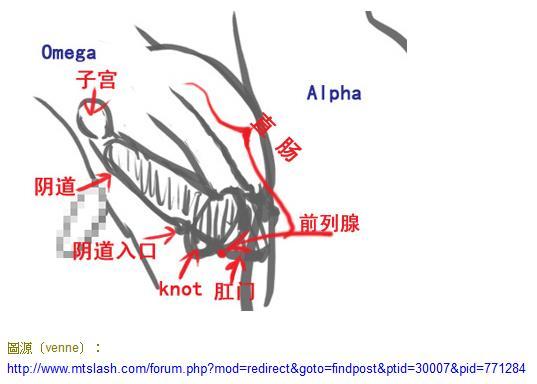 豪门艳事/军官养父的霸道之吻[ABO]
