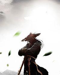 女尊：霸道总裁，请放过我