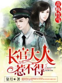青梅竹马:长官大人,