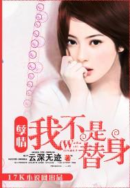 孽情:我不是替身